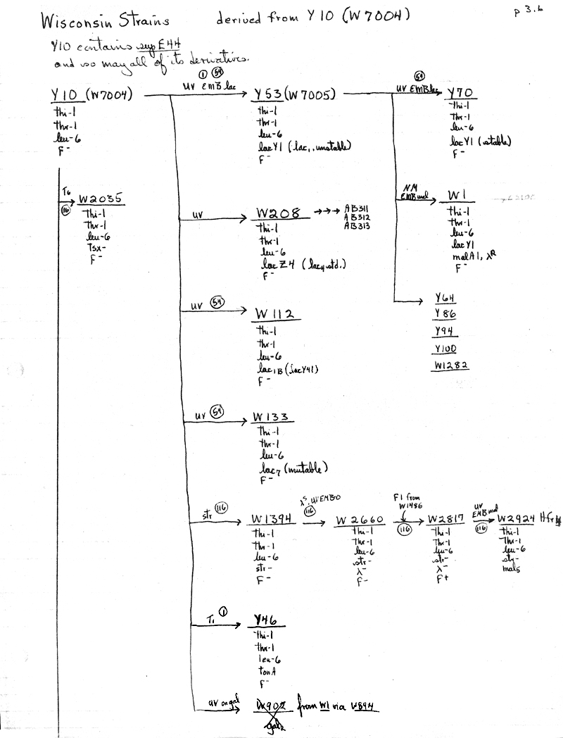 X14 BJBachmann Reconstruction p3.6